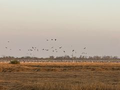 -鄱阳湖国家湿地公园