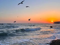 -黄金海岸环岛路