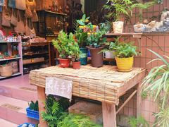 -小洲村