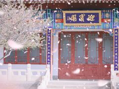 -桃花堤公园