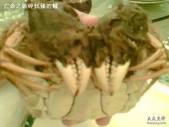 大闸蟹-王宝和酒家(黄浦店)
