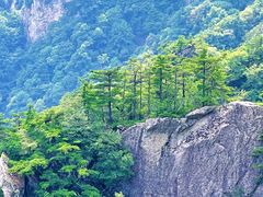 -王顺山国家森林公园