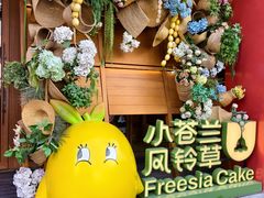 -小苍兰风铃草蛋糕甜品(沈阳店)