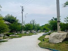-中国唐苑
