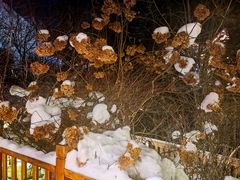 -汉拿山温泉度假酒店