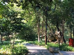 -杭州半山国家森林公园