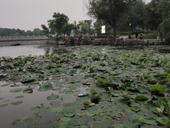 -东昌湖风景区