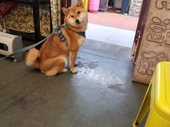 -花满楼(启秀路店)