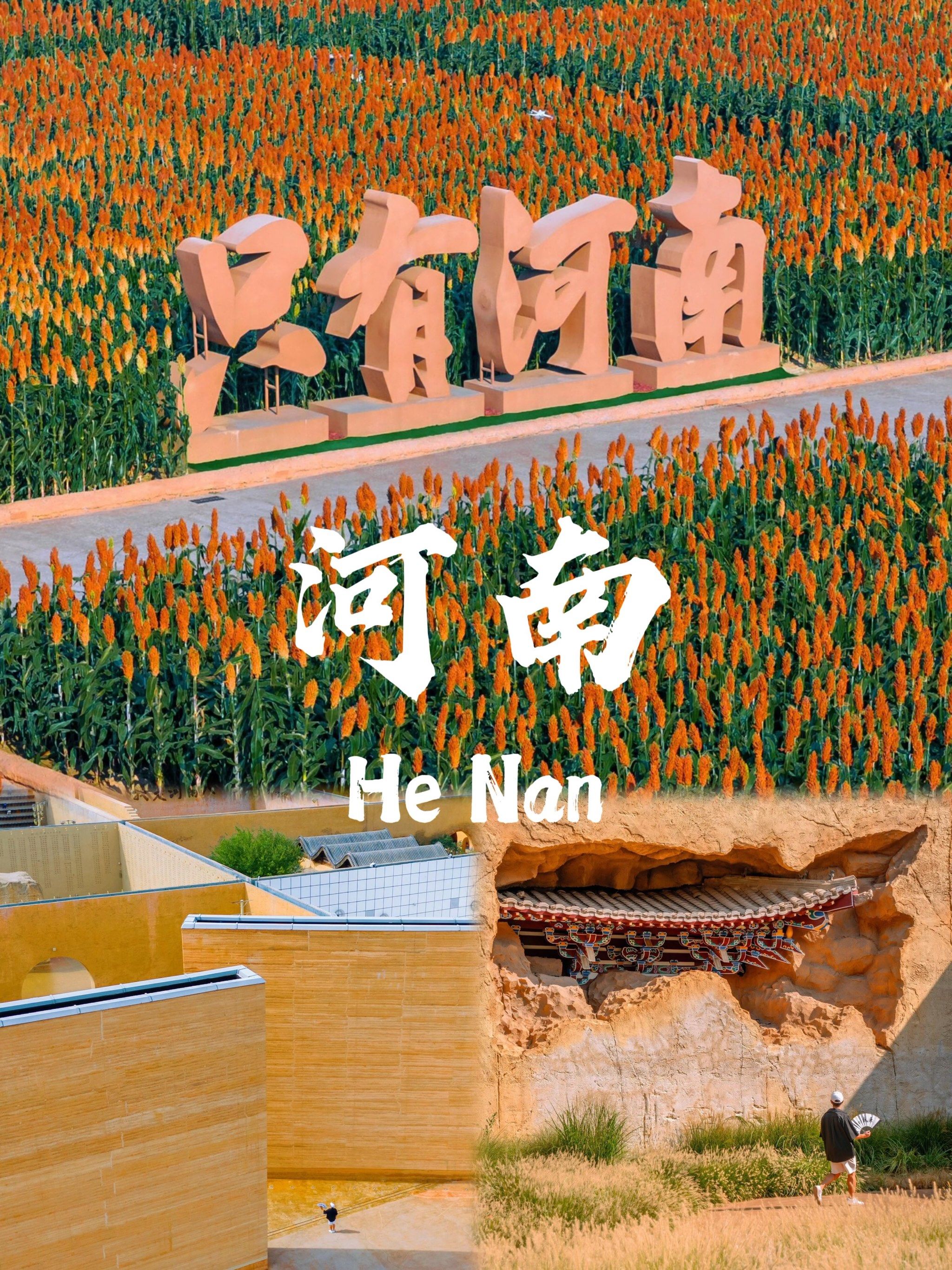 "只有河南":一场穿越时空的心灵震撼之旅