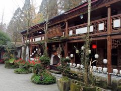 -青城甲(青城山店)