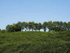 -南山风景名胜区