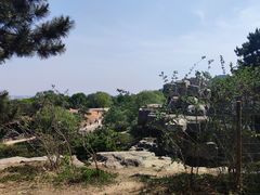 -北京西山国家森林公园