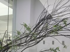 -极简口腔(总院)