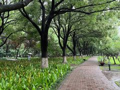 -中央公园(苏州工业园区)