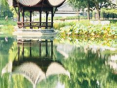 -陶然亭公园