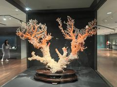 -台北故宫博物院