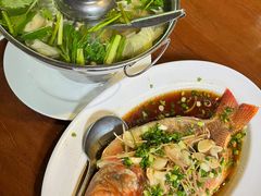 -绿光森林餐厅