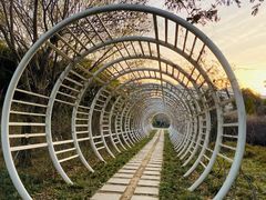 -郑州植物园