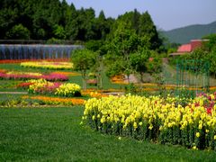 -中国香山·寿香谷