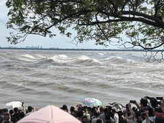 -观潮胜地公园