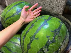 -楠火锅(龙阳广场店)