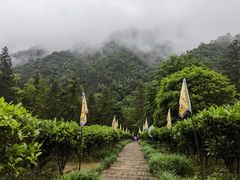 -姑婆山旅游区