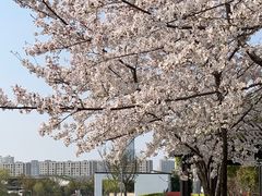-石湖景区