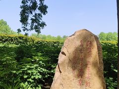 -洛阳市隋唐城遗址植物园