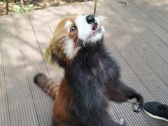 -普洱太阳河森林公园