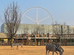 -祥源·阜阳生态乐园