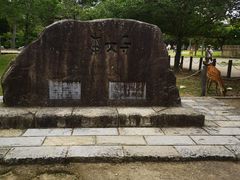 -奈良公园