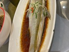 -全聚德(上海首店浦东店)