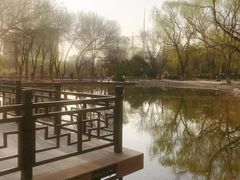 -玲珑塔公园