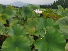 -古田会议纪念馆