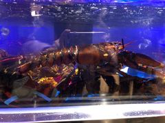 -盒马鲜生(莱蒙都会店)