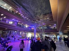 -瑞虹新天地月亮湾