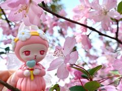 -顾村公园