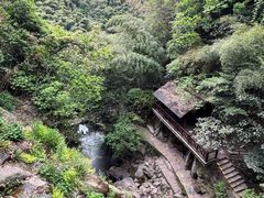 -莫干山风景区