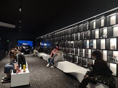 -奥斯卡升龙国际影城(RealD Cinema)