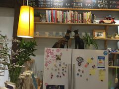 -猫的天空之城概念书店(杭州南宋御街店)