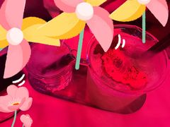 -Darling Queen·Mini·Live·House