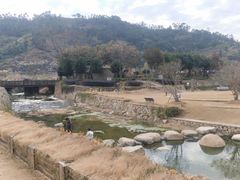 -福建土楼（华安）旅游区•大地土楼群