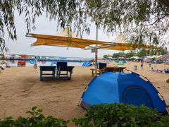 -呼兰河口湿地公园