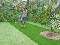 景观位-都念榴莲·城市榴莲