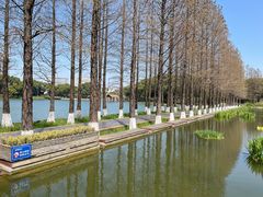 -圩墩遗址公园