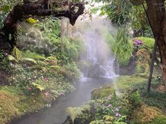 -Chom Cafe and Restaurant