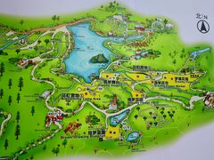 -深圳仙湖植物园