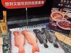 -南海渔村(珠江新城店)