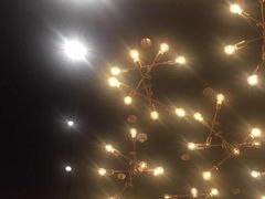 -馔豚·台北菜专门店(深圳湾万象城店)