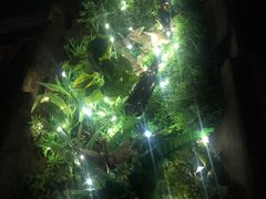 -海雾里小酒馆(解放碑店)